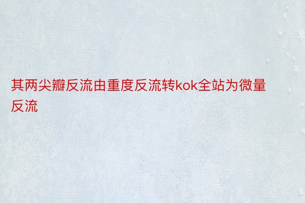 其两尖瓣反流由重度反流转kok全站为微量反流